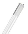 OSRAM SubstiTUBE ST8-Ha2-67-840