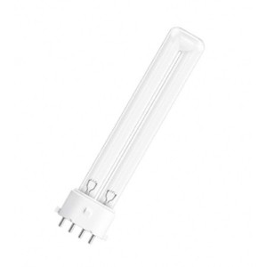 HNS S_E 11W 2G7 medium.jpg