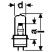 OSRAM 64626 HLX