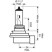 OSRAM 64242