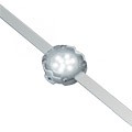 Traxon LED 32PXL Dot XL-9 CW/WW 